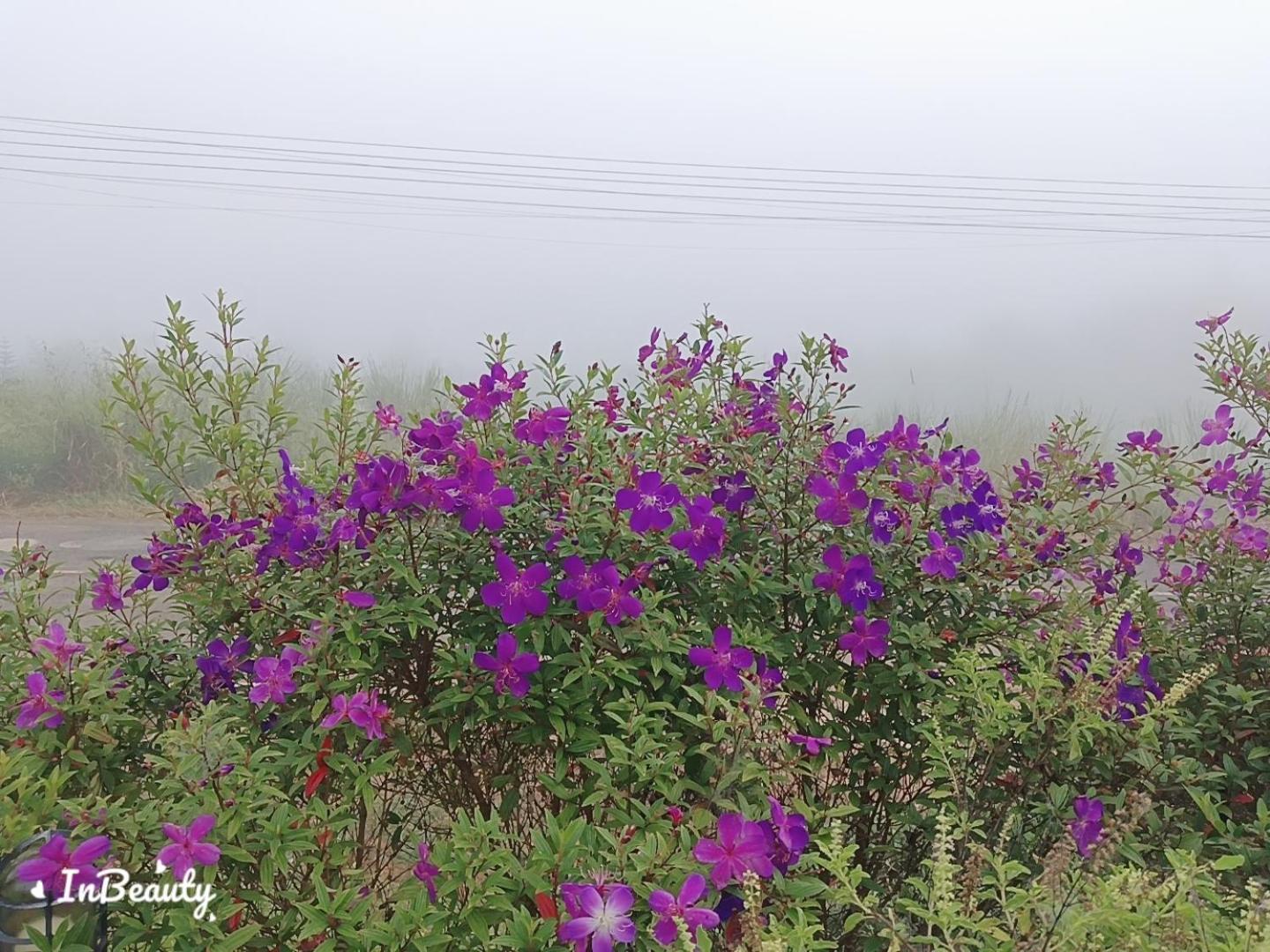 Vila เฟรนด์แคมป์ Khao Kho Exteriér fotografie