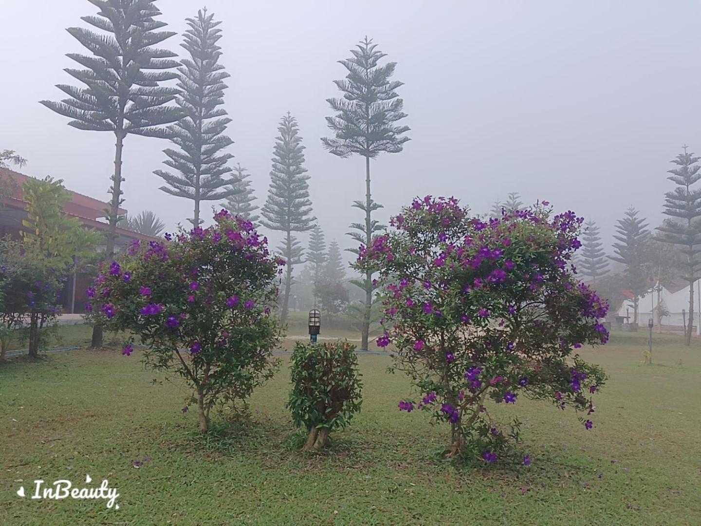 Vila เฟรนด์แคมป์ Khao Kho Exteriér fotografie